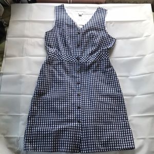 J Crew V Neck Gingham Navy & White Cotton Button Down Dress Size 10